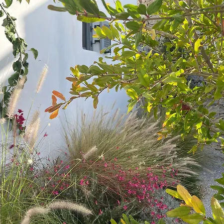 Villa Avlia Mikri Vigla